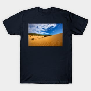 Lost in the Greek desert T-Shirt